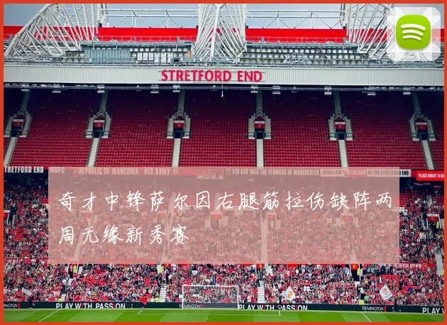 奇才中锋萨尔因右腿筋拉伤缺阵两周无缘新秀赛